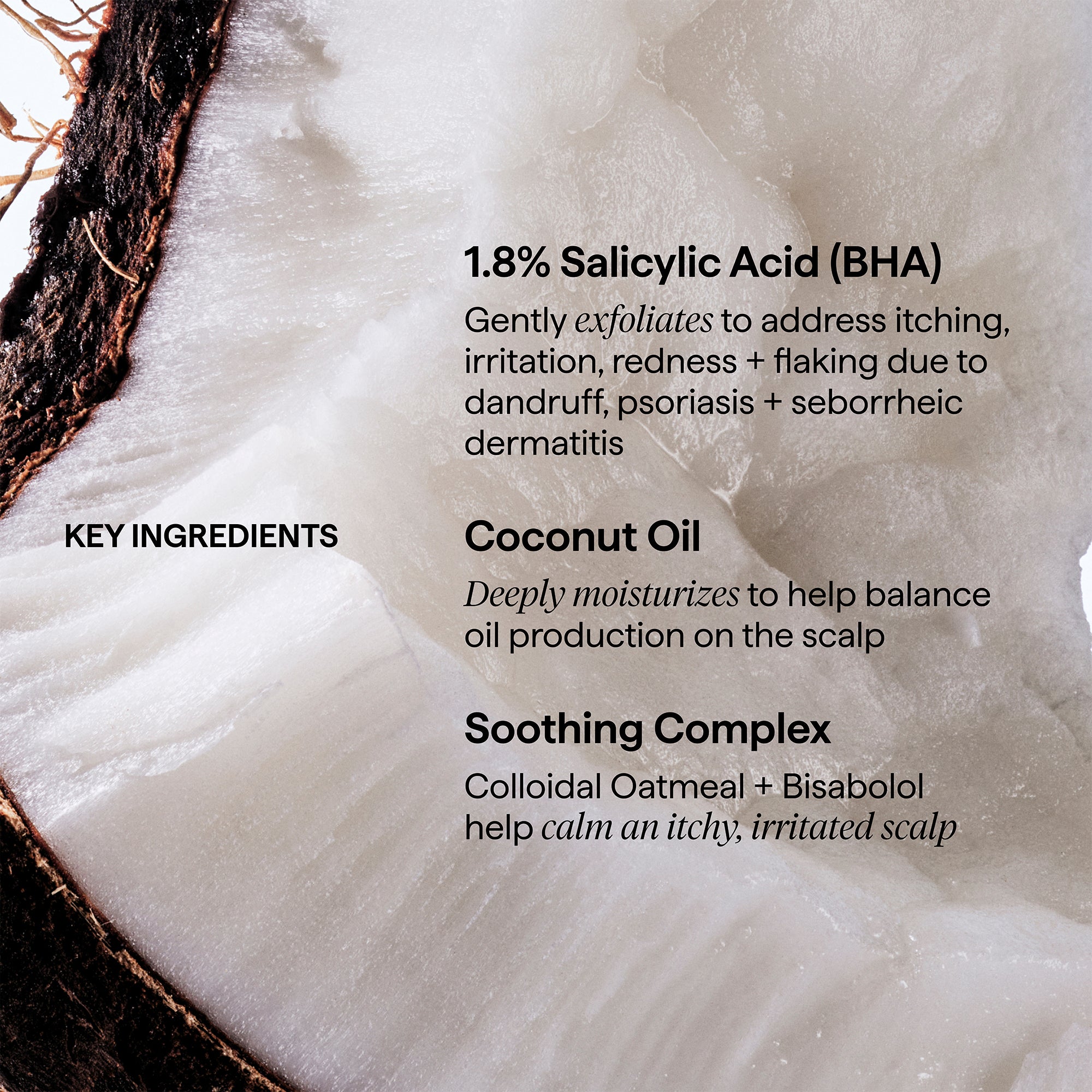 Scalp Revival™ Dandruff Relief Conditioner with Charcoal + 1.8% Salicylic Acid - Briogeo