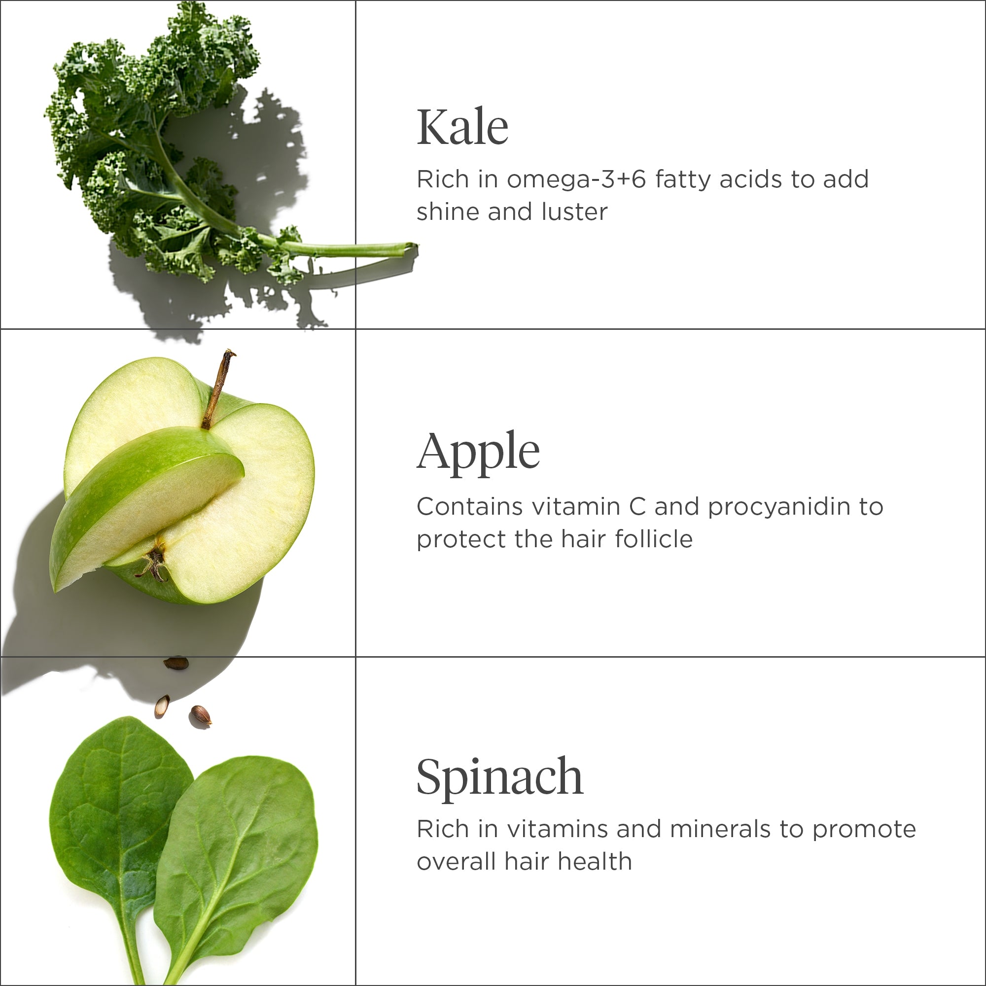 Superfoods Kale + Apple Replenishing Superfood Conditioner - Briogeo